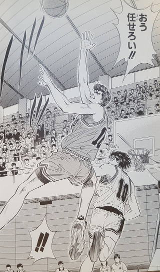 9_p6.jpg