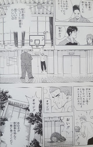 13_p4.jpg